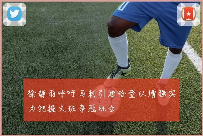 徐静雨呼吁马刺引进哈登以增强实力把握文班争冠机会