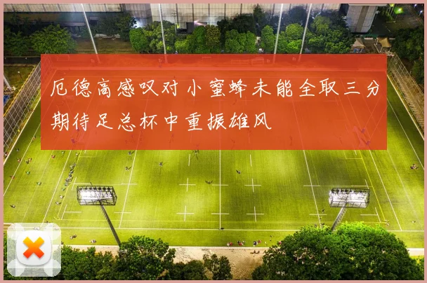 厄德高感叹对小蜜蜂未能全取三分期待足总杯中重振雄风