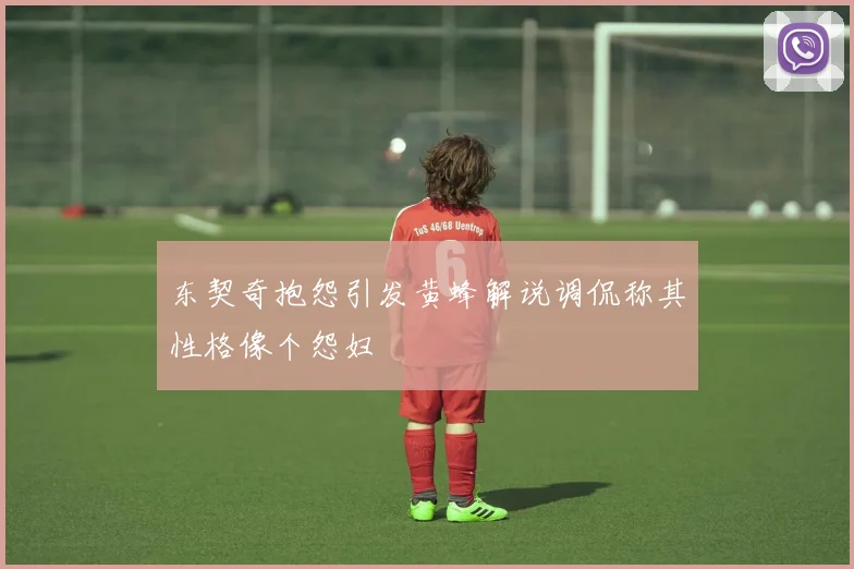 东契奇抱怨引发黄蜂解说调侃称其性格像个怨妇