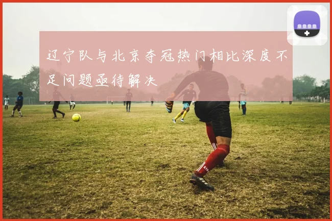 辽宁队与北京夺冠热门相比深度不足问题亟待解决