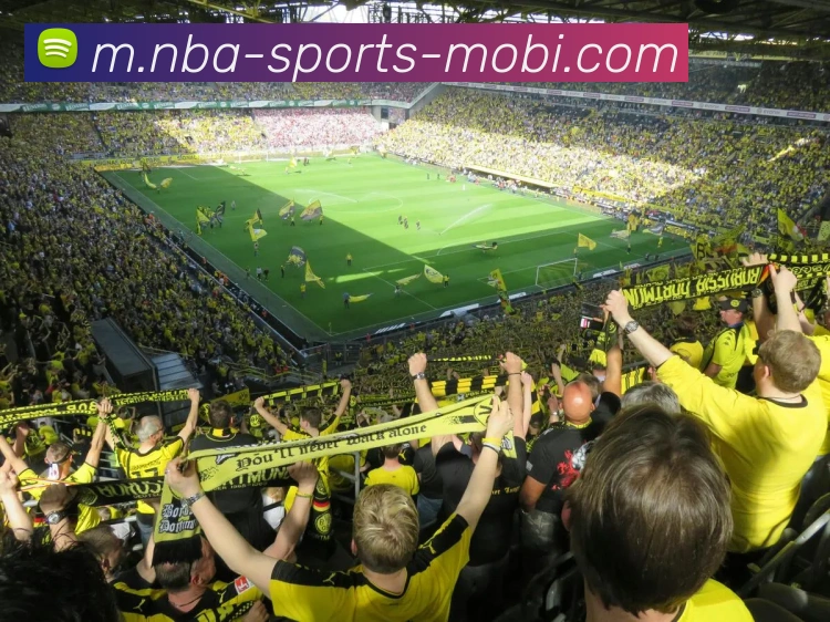 篮球赌注APP 高清赛事图